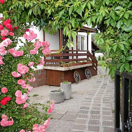 Medina Belogradtjik