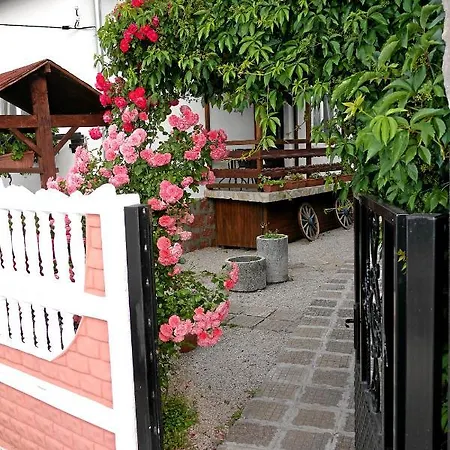 Medina *