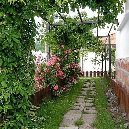 Pensionat Medina Belogradtjik