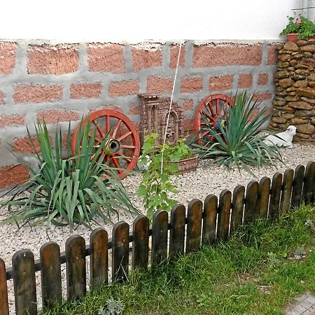 Medina *