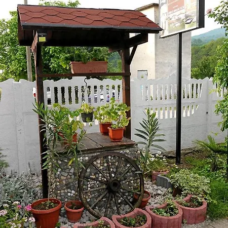 Pensionat Medina Belogradtjik