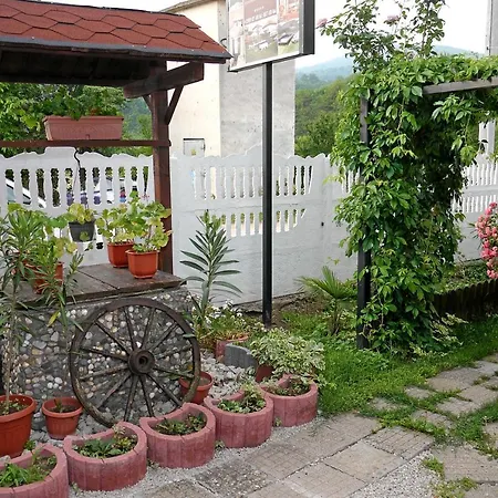 Medina * Belogradtjik