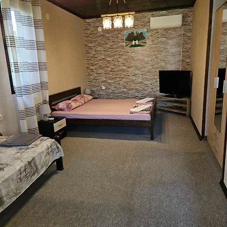 Pensionat Medina Belogradtjik